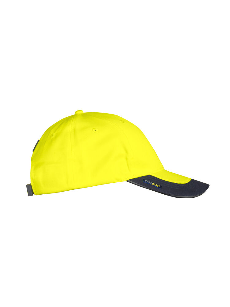 PROJOB 9013 cap 4